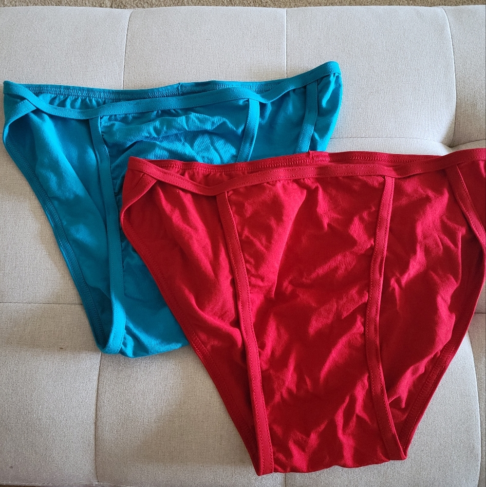 Hanes bikini briefs